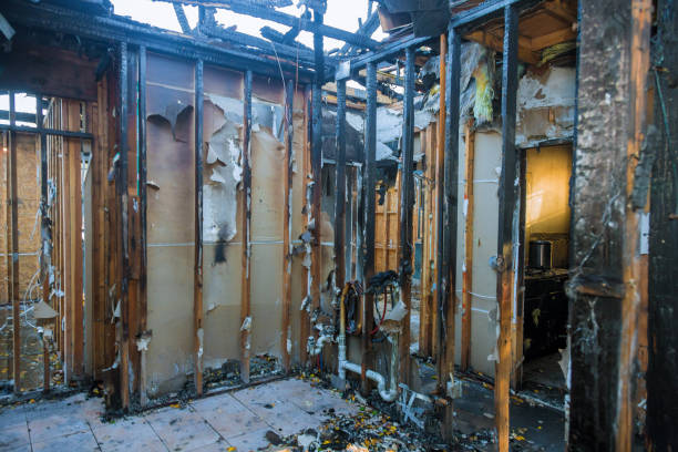 Professional Fire Damage Removal technician working in Alton, TX